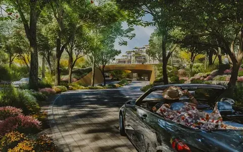 Living Inside a Forest at Lyra Ghaf Woods